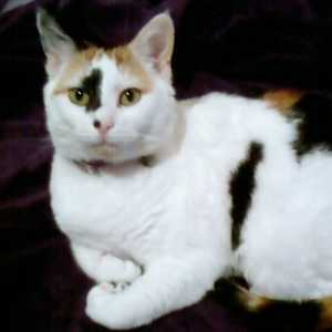 personImage