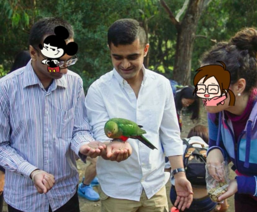 Chintan (29), $240, Non-smoker, No pets, and No children