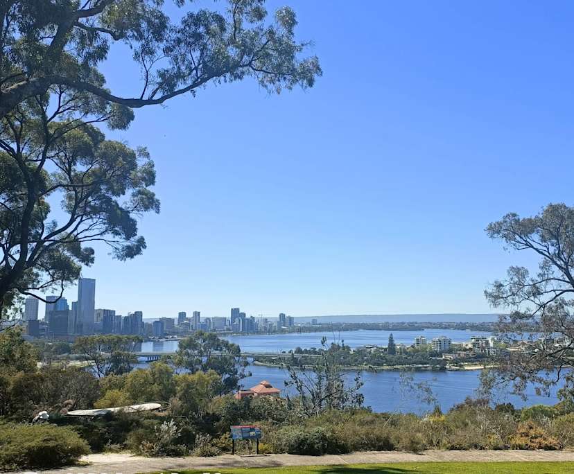 Anna Chan (25), $300, 