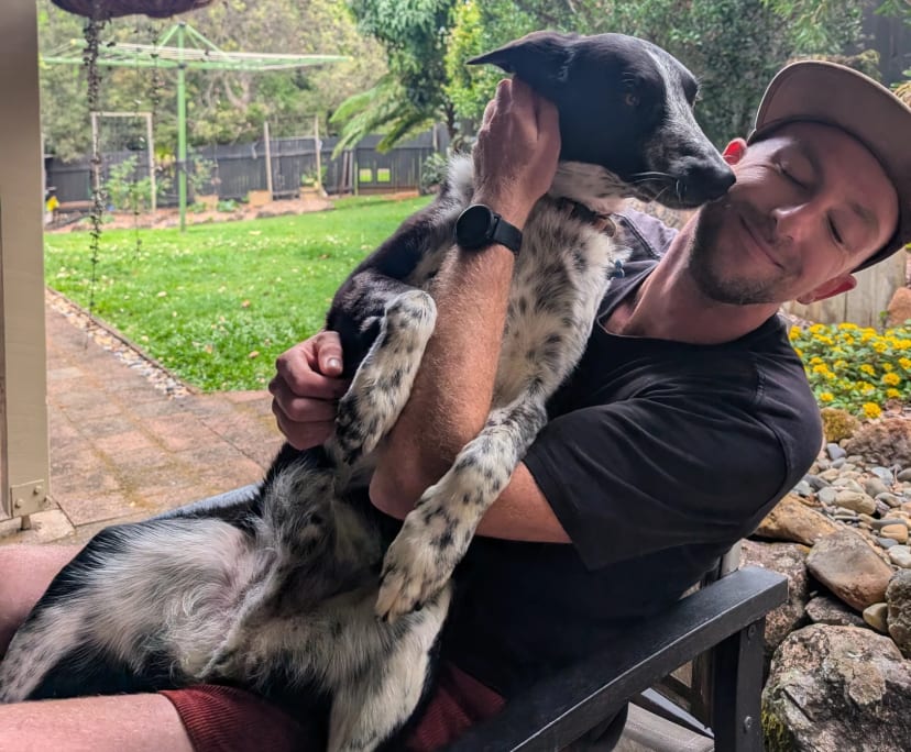 Blake (30), $400, Non-smoker, Have pets, and No children