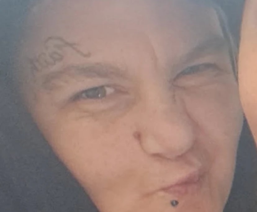 Jamie Lee selby (33), $300, LGBTQIA+, Non-smoker, No pets, and No children