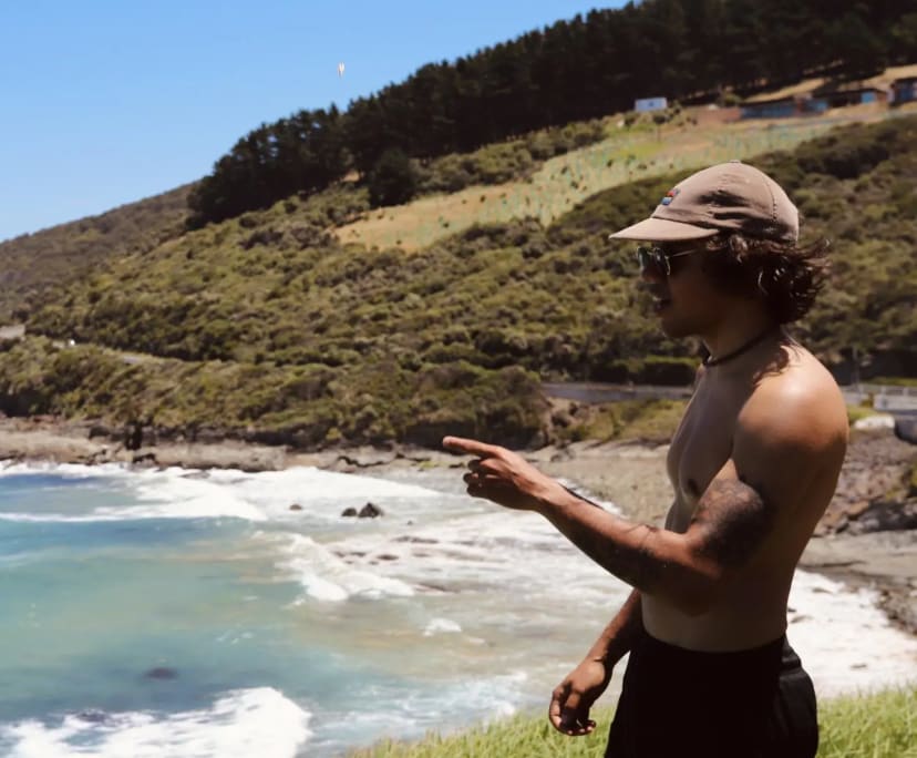 David (36), $300, Non-smoker, No pets, and No children