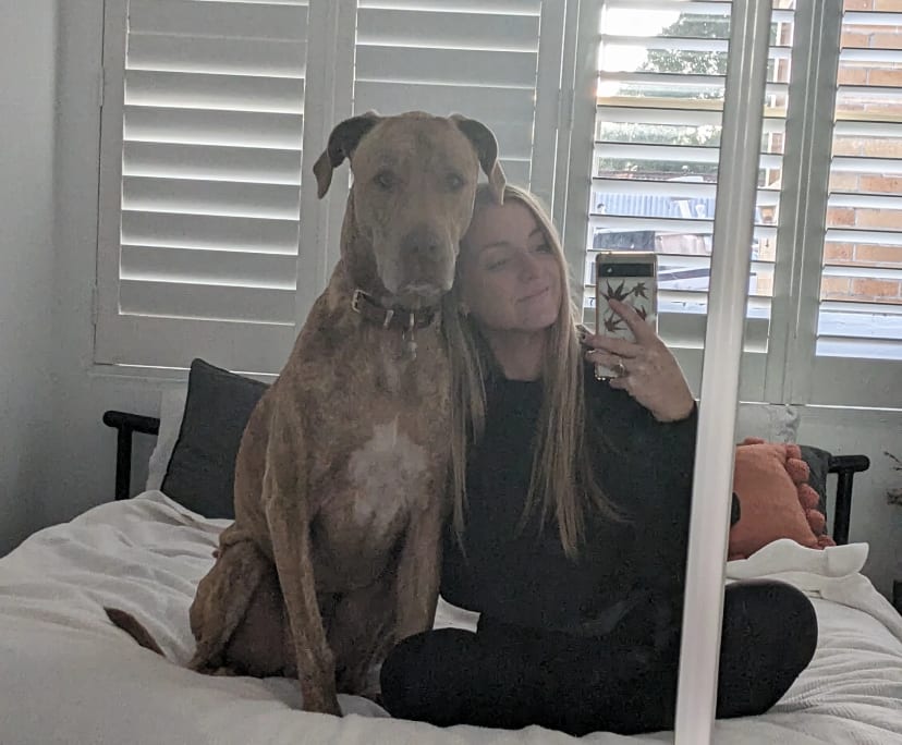 Ash (32), $450, Have pets, Non-smoker, and No children
