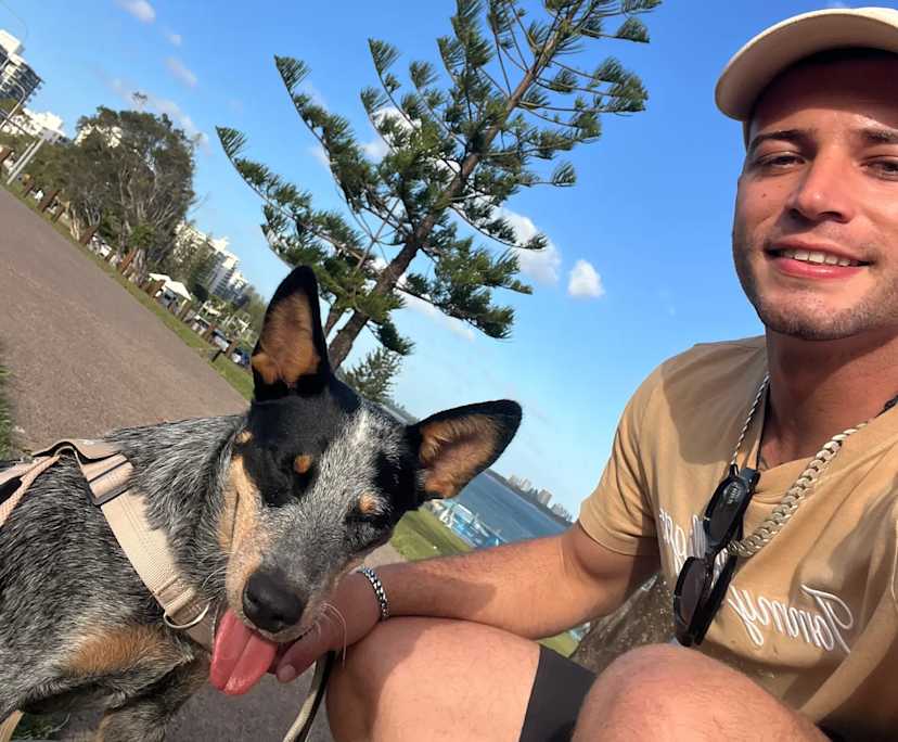 Welysson (25), $500, Have pets, Non-smoker, and No children