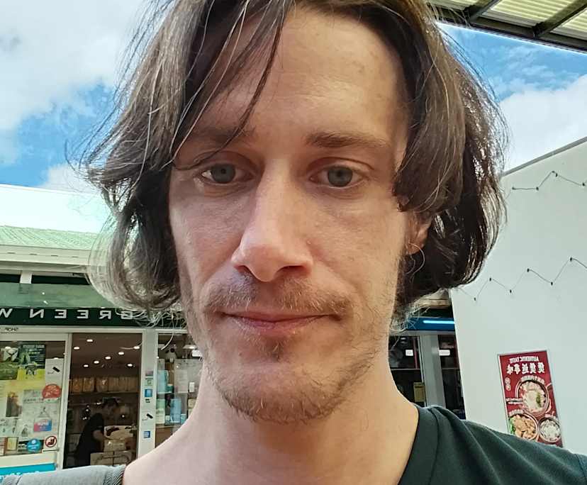 Nathan (38), $300, Non-smoker, No pets, and No children