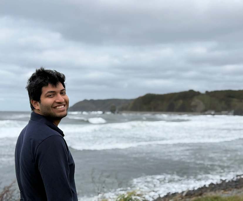 Karan (28), $450, Non-smoker, No pets, and No children