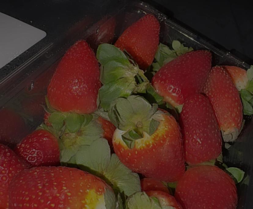 Korilee (22) and Braedon (21), $280, Non-smoker, No pets, and No children