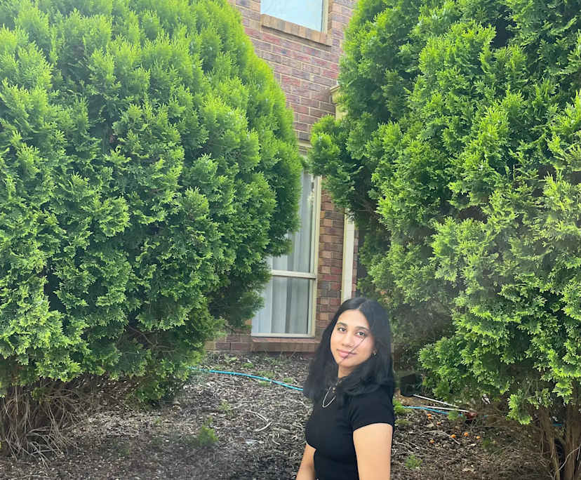 Alice (20), $200, Non-smoker, No pets, and No children