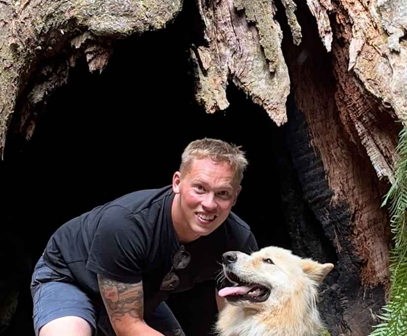 Brad (34), $600, Non-smoker, Have pets, and No children