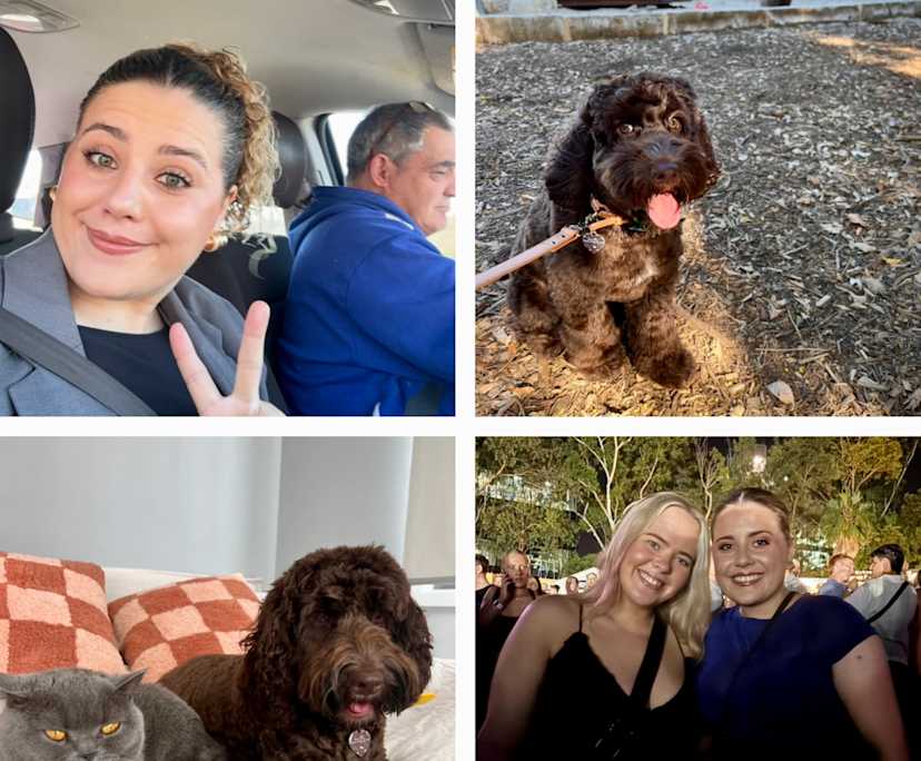 Izzy (26), $400, Non-smoker, Have pets, and No children