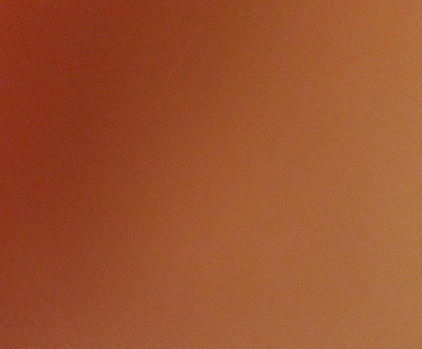 Amritashree (24), $400, 