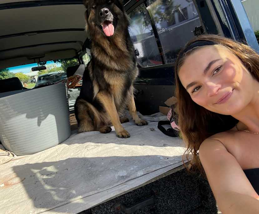 Danielle (25), $375, No pets, Non-smoker, and No children