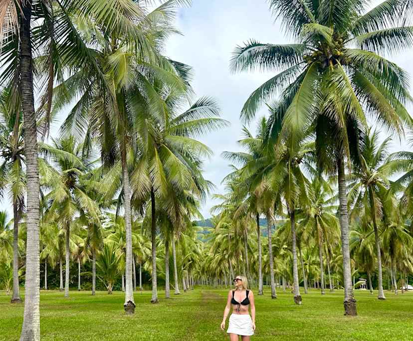 Caitlin (27), $280, Non-smoker, No pets, and No children