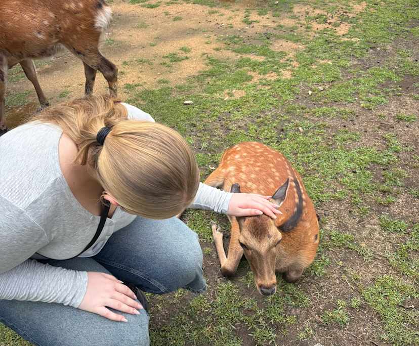 Luna iddles (20), $350, LGBTQIA+, Non-smoker, Have pets, and No children