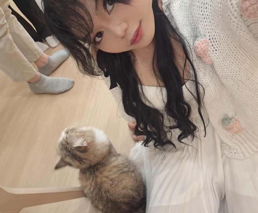 Anisa