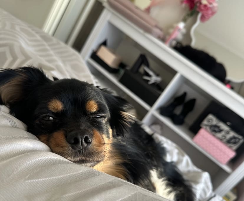 Leoni (19), $300, Non-smoker, No pets, and No children