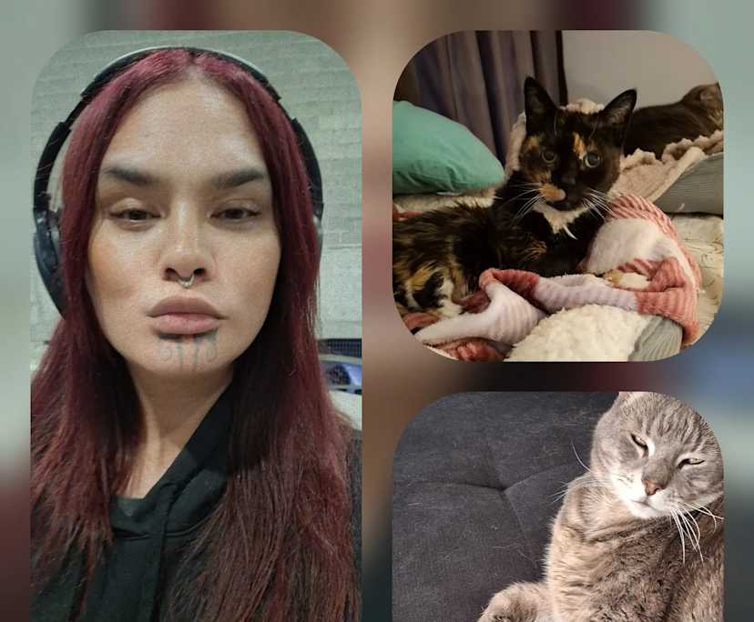 Lea (40), $300, LGBTQIA+, Non-smoker, Have pets, and No children