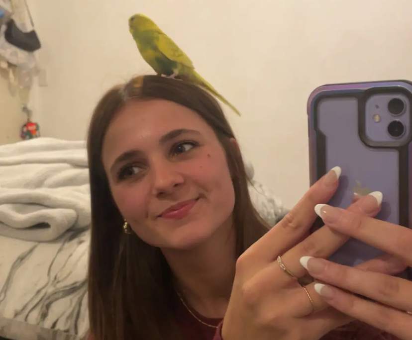 Ava