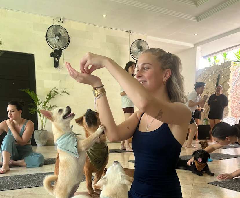 Maya (20), $330, Smoker, No pets, and No children