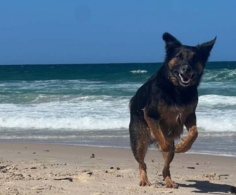 Samantha (22) and Belana (22), $400, Non-smoker, LGBTQIA+, Have pets, and No children