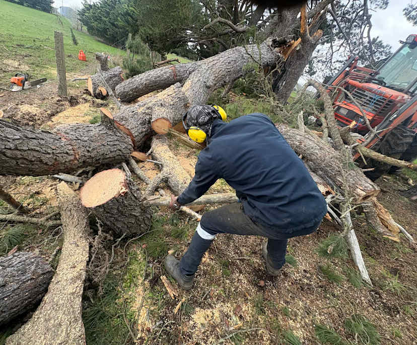 Pluvij (20), $200, Smoker, No pets, and No children