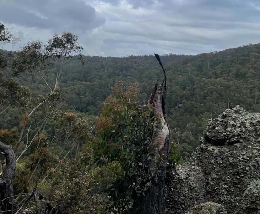 Michayla (58), $270, Smoker, No pets, and No children