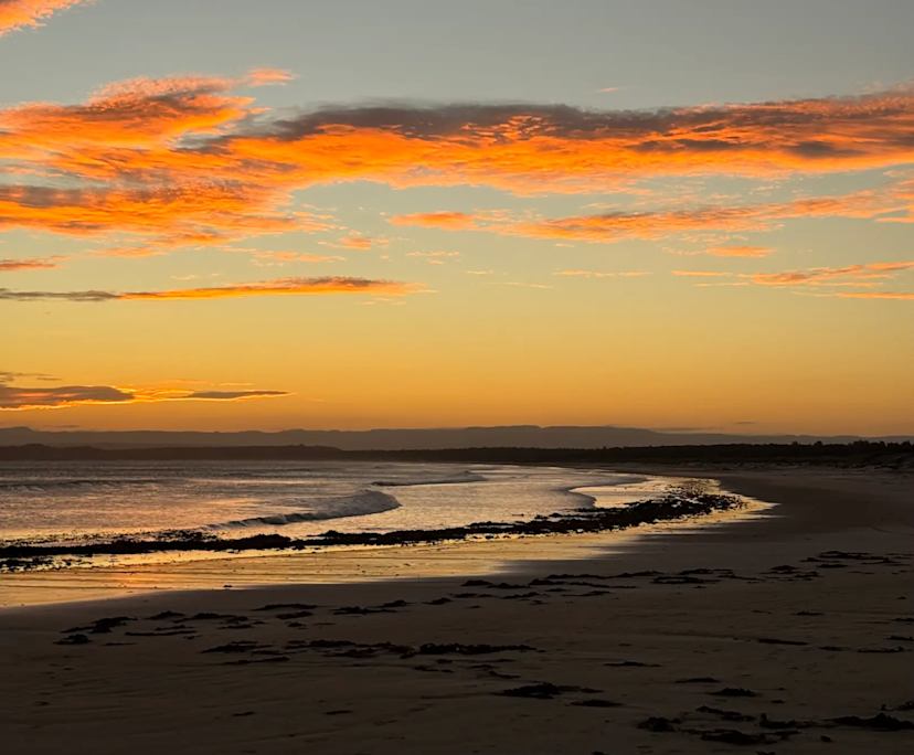 Lily (34), $500, LGBTQIA+, Non-smoker, Have pets, and No children