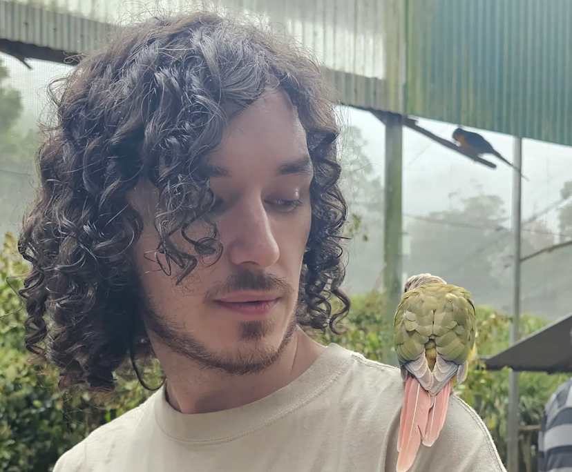 Matt