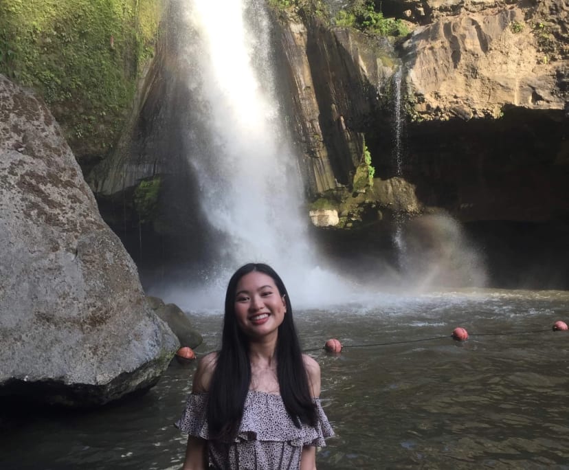 Rebecca (28), $250, Non-smoker, No pets, and No children