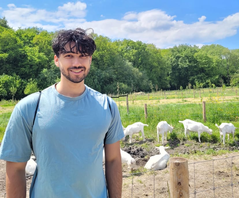 Zen (26), $300, Non-smoker, No pets, and No children