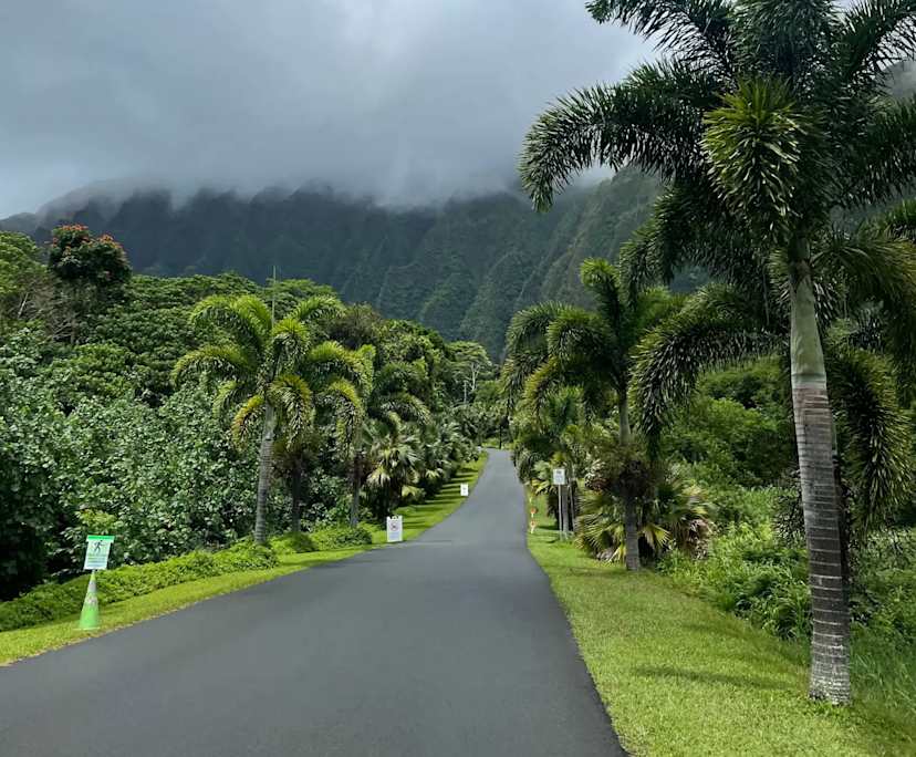 Julia orevik (25), $400, 