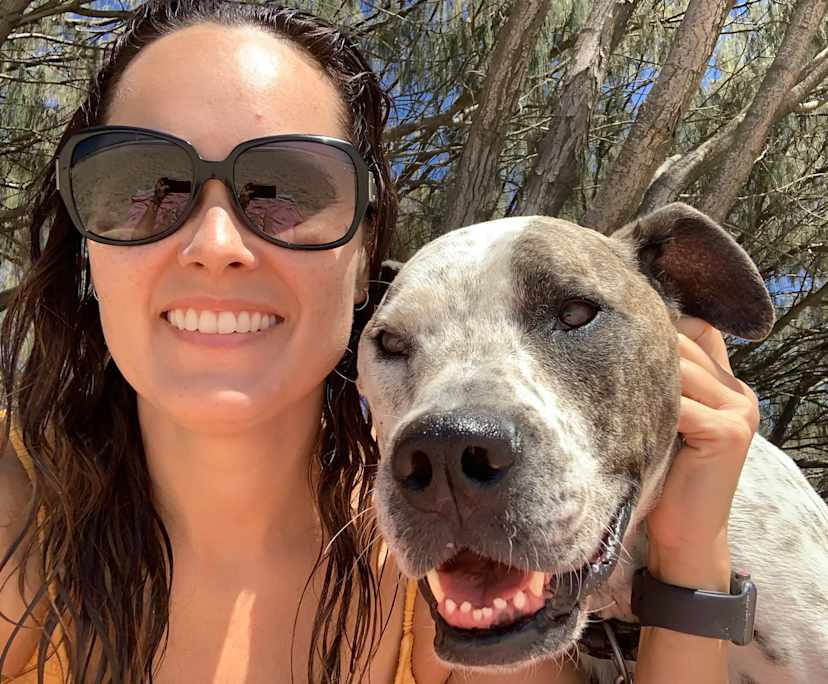 Sarah (37), $500, Have pets, Non-smoker, and No children