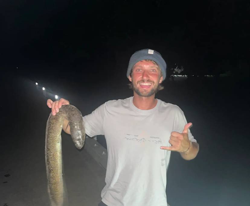 Nick (28), $350, Non-smoker, Have pets, and No children