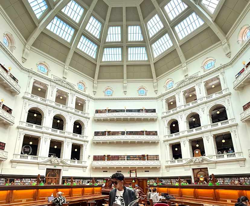 Will mohammed (24), Vin (25) and Normy (26), $250, 