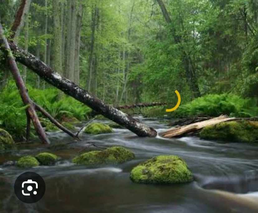 Kep (44), $220, Smoker, No pets, and No children