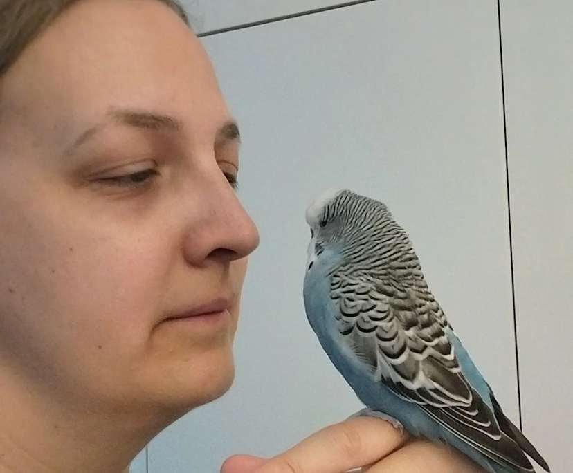 Amy (37), $500, Non-smoker, Have pets, and No children
