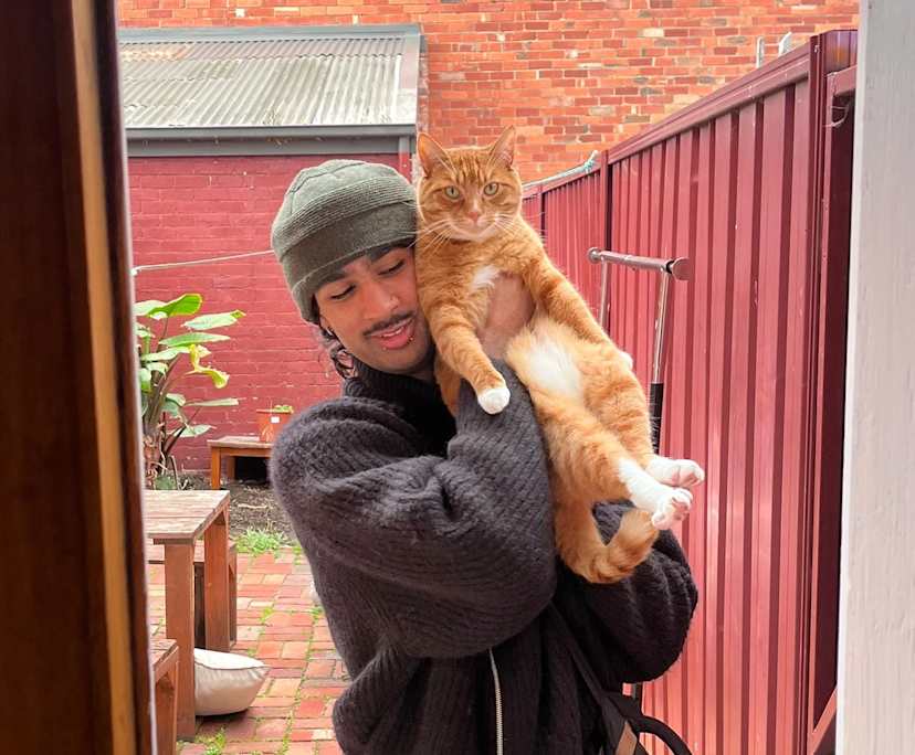 Elijah (25), $300, Non-smoker, Have pets, and No children