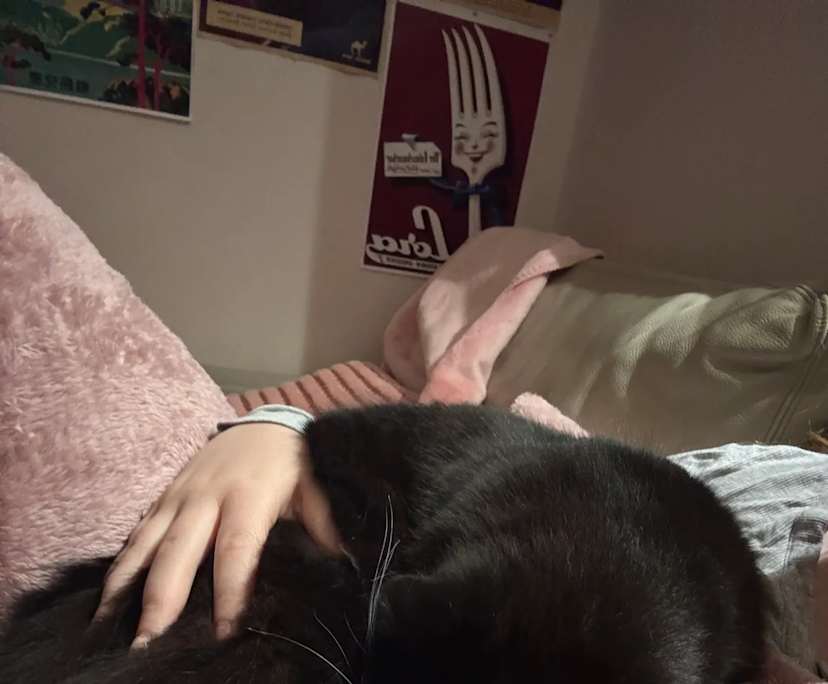 Luna iddles (20), $350, LGBTQIA+, Non-smoker, Have pets, and No children