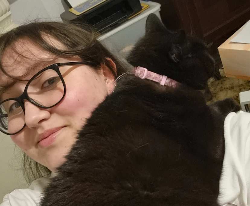 Lexi (20), $250, Non-smoker, Have pets, and No children