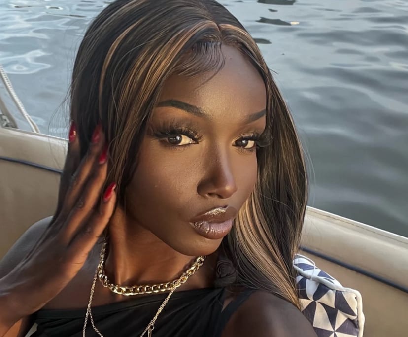 Ann (25), $400, LGBTQIA+, Non-smoker, Have pets, and No children