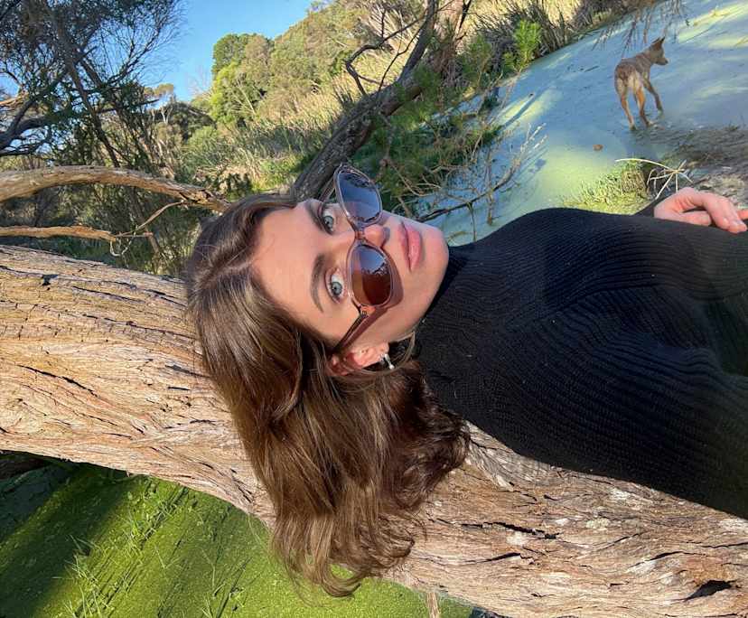 Kyra (36), $300, Non-smoker, Have pets, and No children