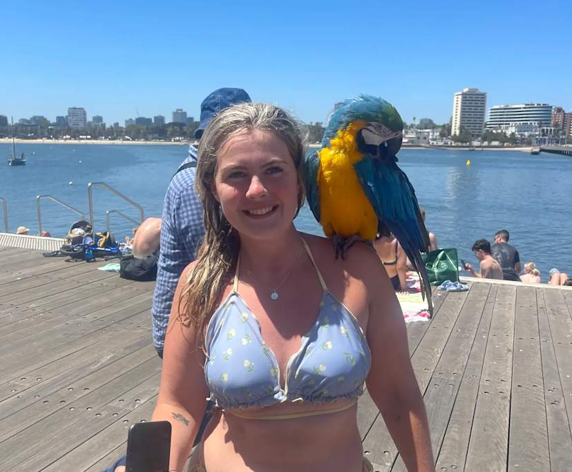 Sean (25), $300, LGBTQIA+, Non-smoker, No pets, and No children