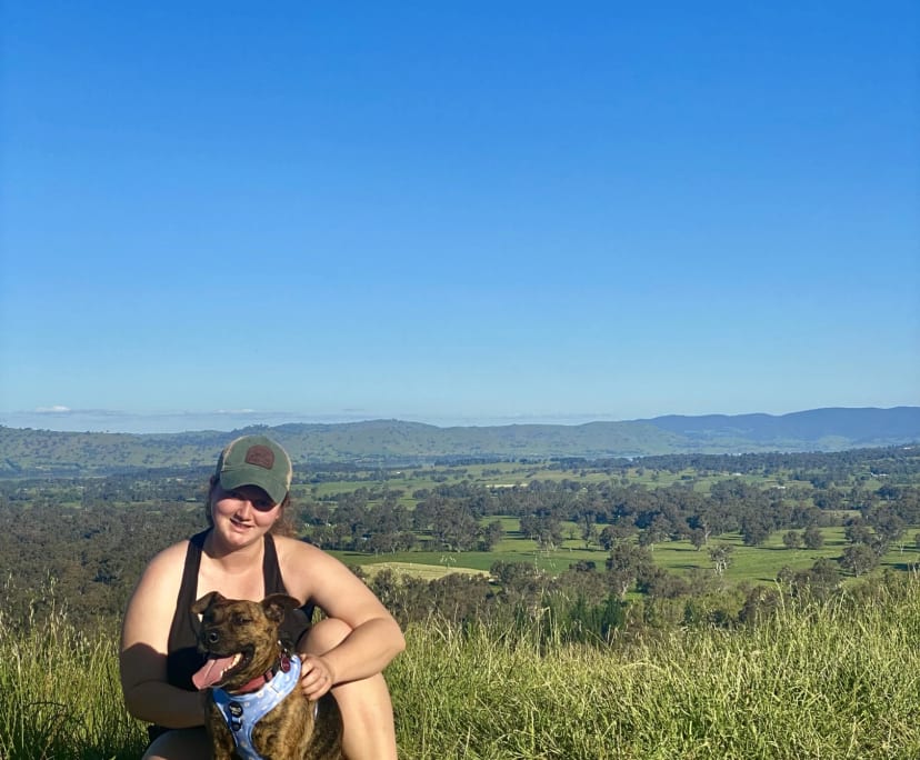 Amelia (26), $300, No pets, Non-smoker, and No children