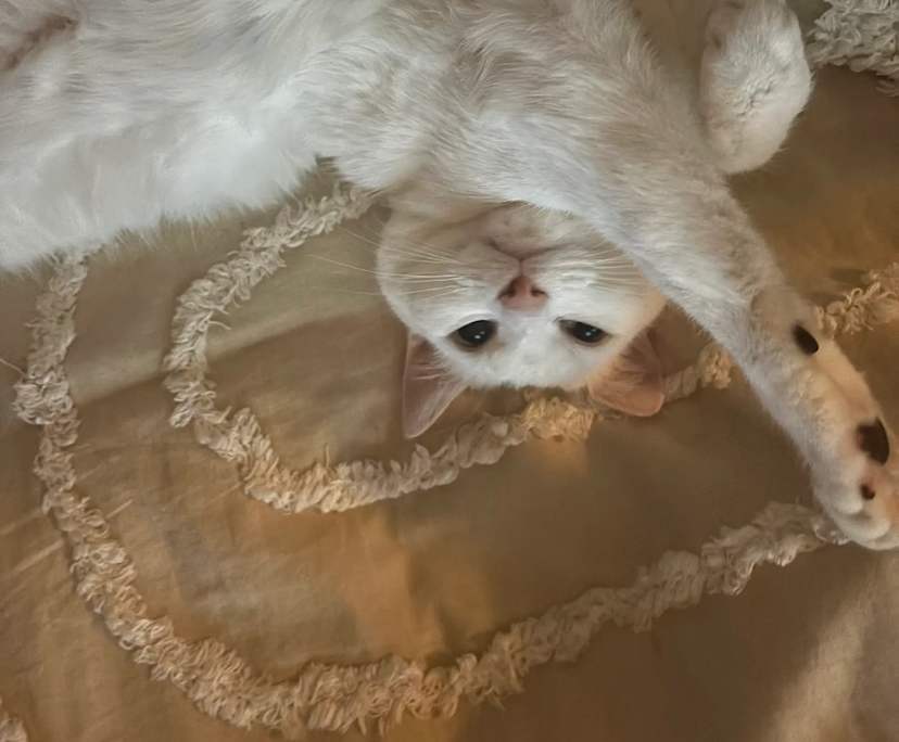 Samantha