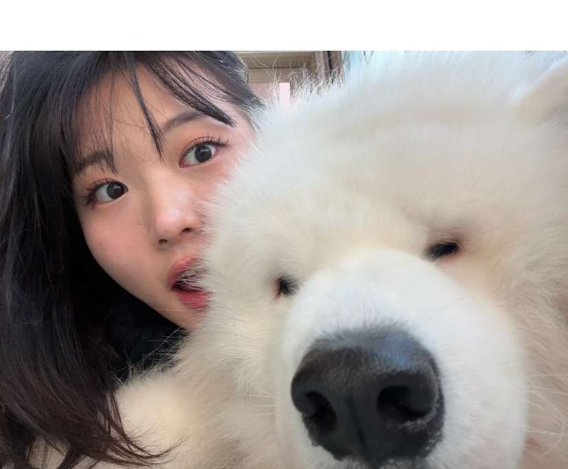 Dahee (24), $600, Non-smoker, No pets, and No children