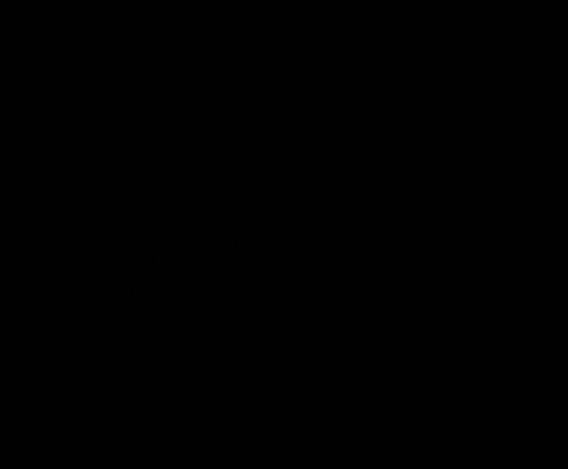 Siddhesh Raje