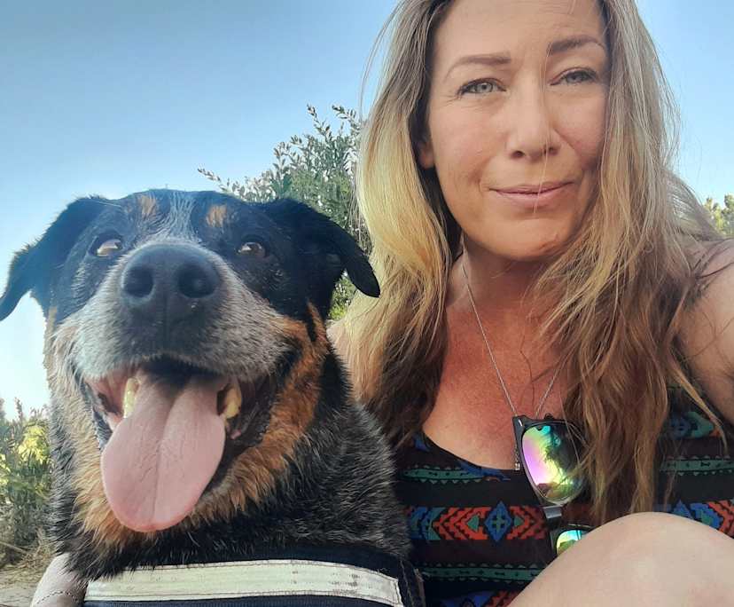 Kate (43), $200, Non-smoker, Have pets, and No children