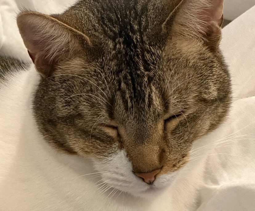 Fiona