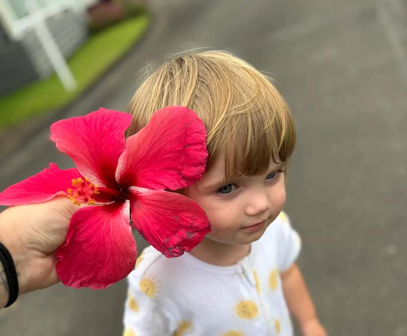 Corrie (21), $400, Non-smoker, Have children, and No pets