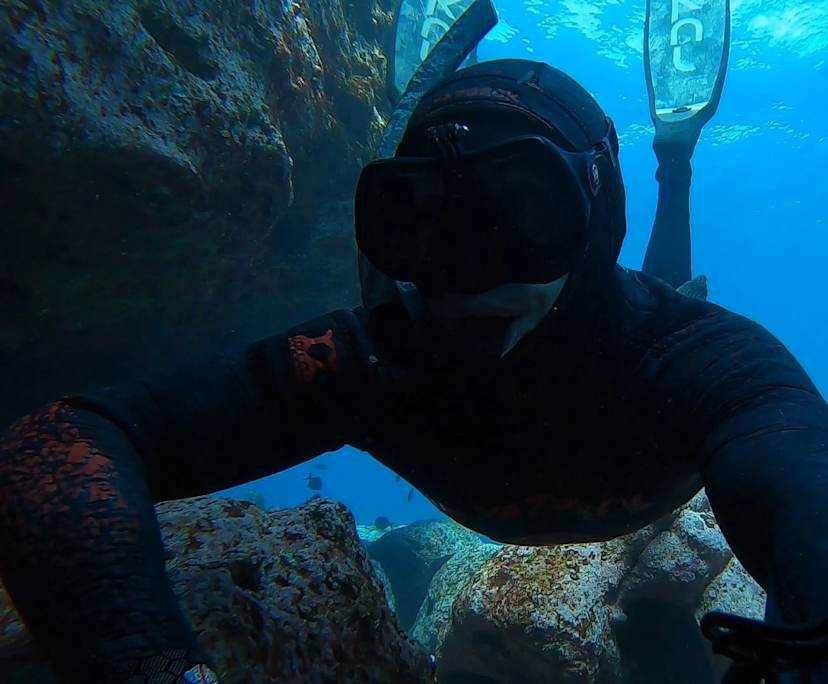 Pat (35), $400, Non-smoker, Have pets, and No children